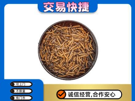 铜仁礼品回收虫草.jpg
